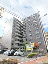 ラフィーネ住之江  ｜ 大阪府大阪市住之江区北島２丁目（賃貸マンション2DK・2階・51.66㎡） その1