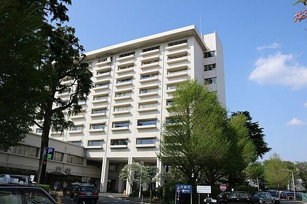 画像20:東京慈恵会医科大学附属第三病院 260m