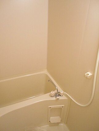 プルメリア_その他_0