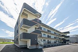 Ｓｅｅｄ　Ｌｅａｆ