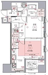 ドムス・スタイル銀座東 11階1LDKの間取り