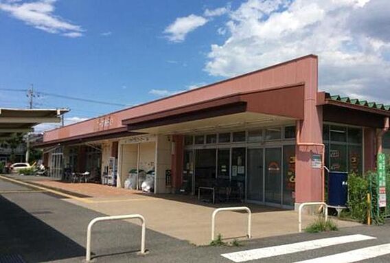 ライラック_周辺_2