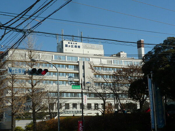 画像23:昭和大学藤が丘病院 720m