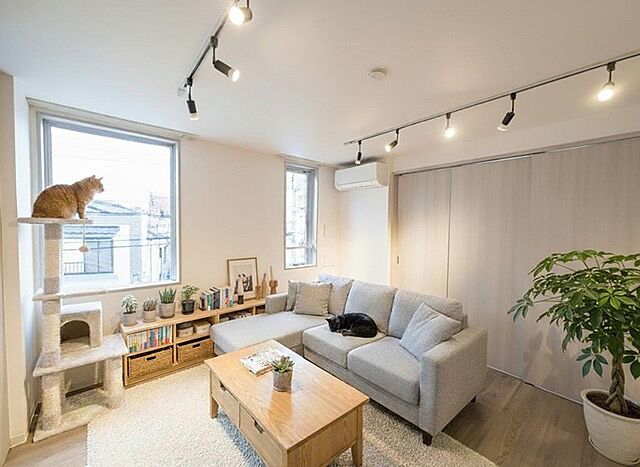 リビング/ダイニング