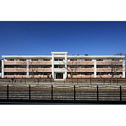 プレミアムコートみなみ野ＩＩ