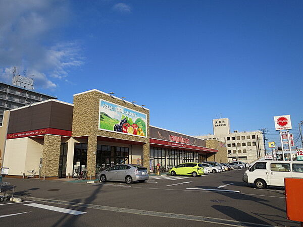 香川県高松市西町(賃貸アパート1K・4階・20.81㎡)の写真 その17