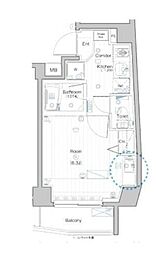 都営浅草線 戸越駅 徒歩9分の賃貸マンション 2階1Kの間取り
