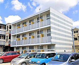 JR南武線 中野島駅 徒歩14分の賃貸マンション