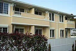 フラン・フィオーレB