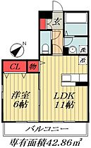 千葉県船橋市海神４丁目（賃貸アパート1LDK・1階・42.86㎡） その2