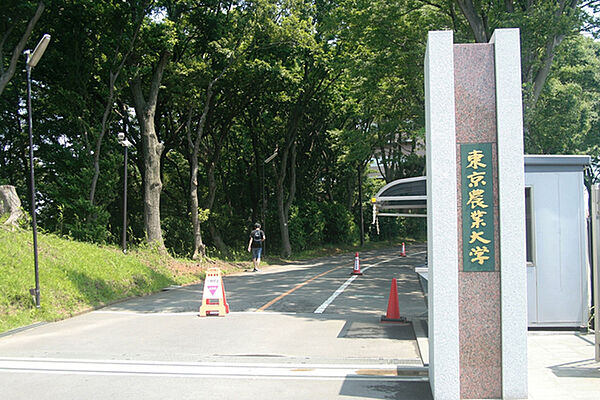 画像27:私立東京農業大学厚木キャンパス 1096m