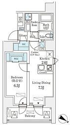 フィシオ飯田橋 13階1LDKの間取り
