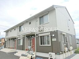 シン・オオヌキソウ