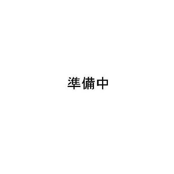 ユニハウス元麻布 501｜東京都港区元麻布３丁目(賃貸マンション1LDK・3階・53.50㎡)の写真 その4