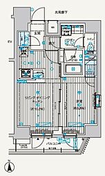 メインステージ元浅草3 7階1LDKの間取り