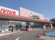 オークワ高石羽衣店 801m