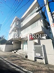 ビーネサイネリア