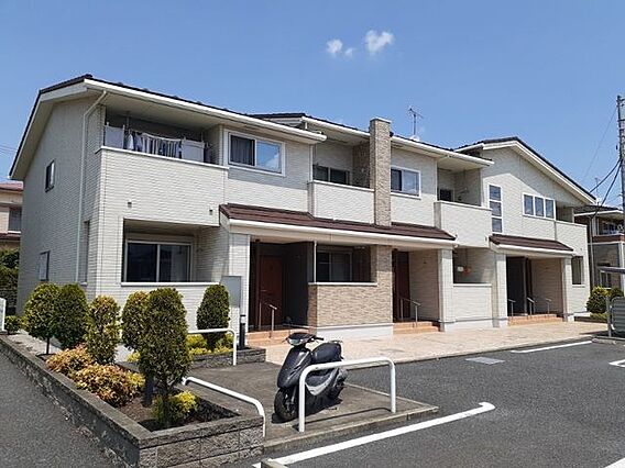 プリムラ2_トップ画像