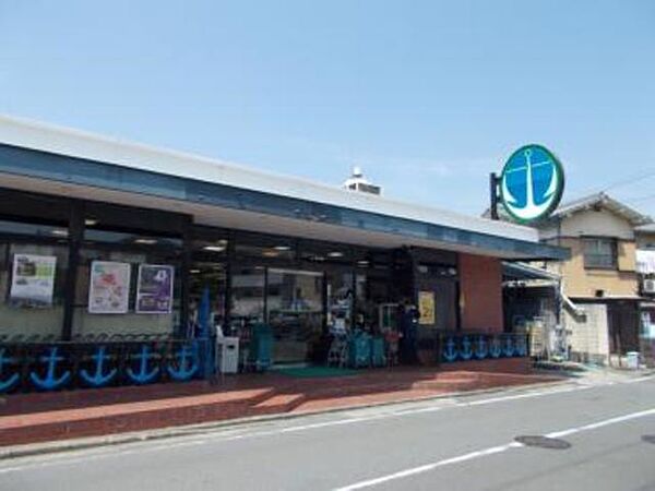 画像19:いかりスーパーマーケット王子店 305m