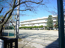 浦安市立浦安小学校 446m