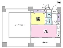 ロネスタR文京護国寺 11階1LDKの間取り