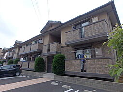 ラミアカーサお花茶屋