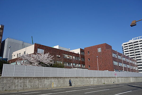 画像24:新潟大学医歯学総合病院 496m