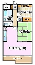 グレースマキノNo.3 1SLDKの間取図画像