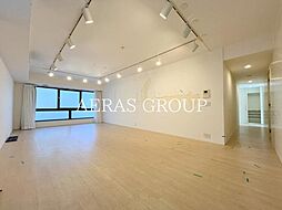 グランカーサ六本木 301 3階ワンルームのリビング/ダイニング