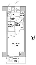 コンフォリア豊洲 8階1Kの間取り