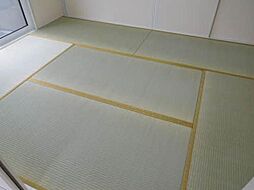 内装