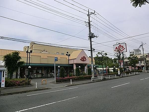 画像4:アルプス甲の原店 423m