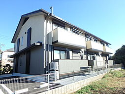 アコルト