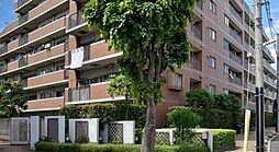 サンクタス西新井