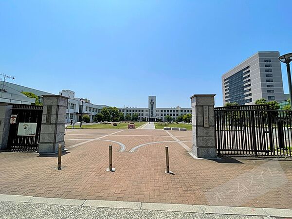 画像27:大阪市立大学 911m