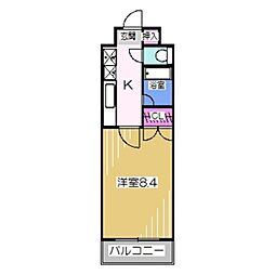 白鷺TKハイツ1号館 3階
