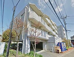 ロイヤルシーダ 207