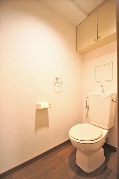 画像16:トイレもきれいに清掃されております。上部に収納があります。