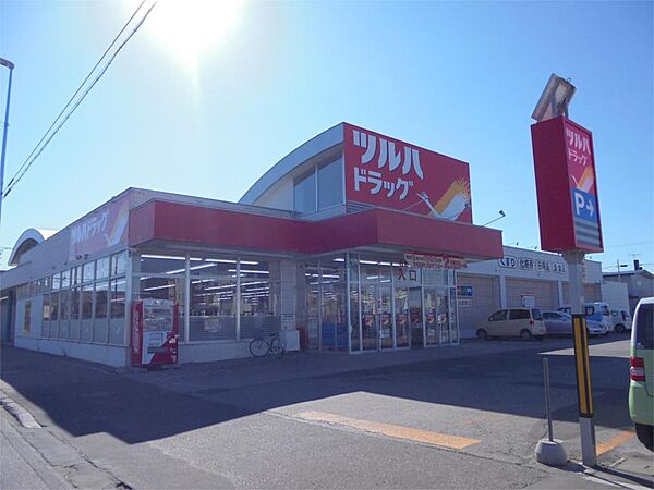 画像21:ツルハドラッグ 北見とん田西町店（737m）