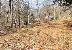 物件画像 長野原町北軽井沢 売土地