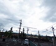 景色が綺麗です