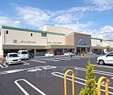 アピタ 精華台店まで1600m
