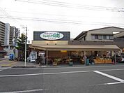 ショッピングのだ　出来島店