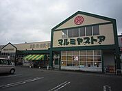 マルミヤストア清武店
