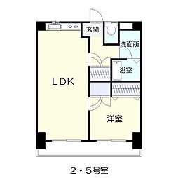 ピープルタウン 3階1LDKの間取り