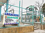 なみきの幼稚園 (460m)