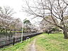 周辺：都立祖師谷公園 (1200m)