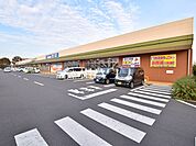 アクロスプラザ東久留米 (430m)