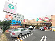 エコス大横店 (590m)