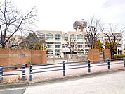 八王子市立松木中学校 (250m)